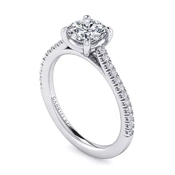 Ring Reiniger Jewelers Swansea, IL