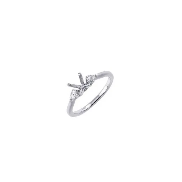 Ring Reiniger Jewelers Swansea, IL