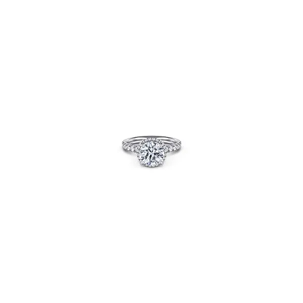 Ring Reiniger Jewelers Swansea, IL