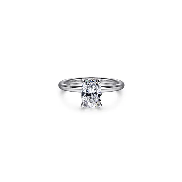 Ring Reiniger Jewelers Swansea, IL