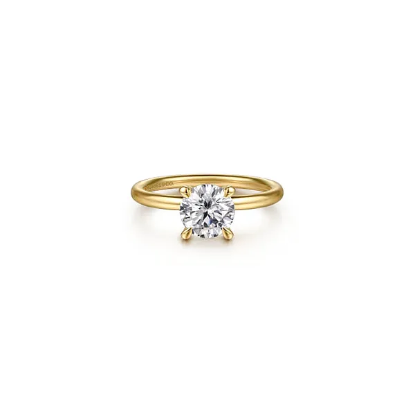 Ring Reiniger Jewelers Swansea, IL