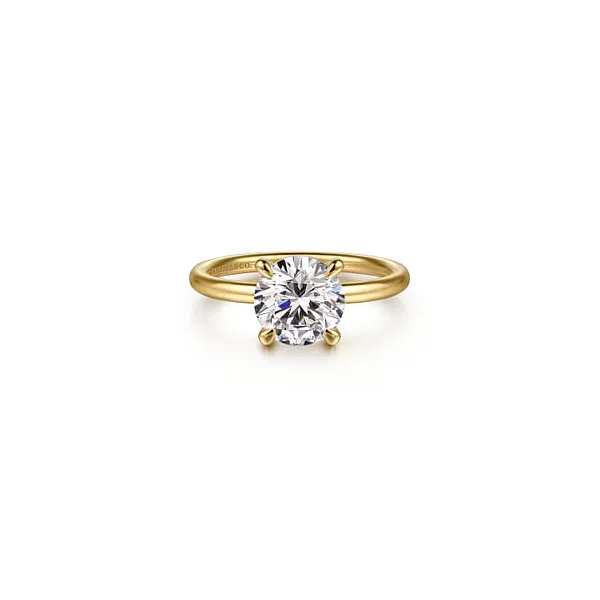 Ring Reiniger Jewelers Swansea, IL