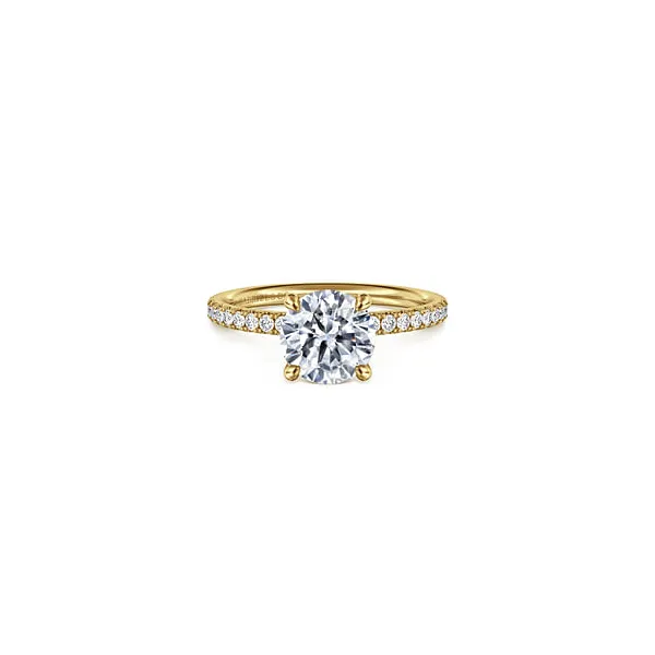 Ring Reiniger Jewelers Swansea, IL