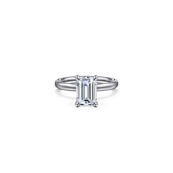 Ring Reiniger Jewelers Swansea, IL