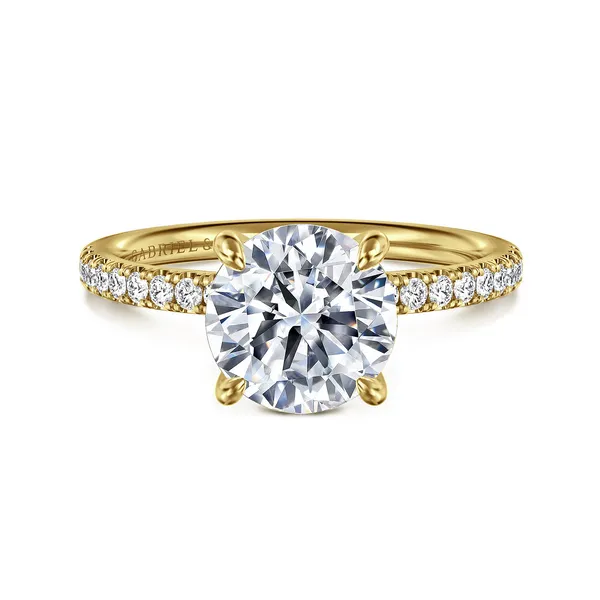 Ring Reiniger Jewelers Swansea, IL