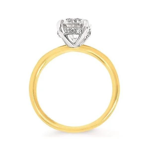 Engagement Ring Setting Reiniger Jewelers Swansea, IL