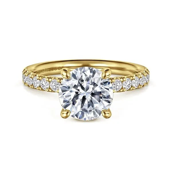 Ring Reiniger Jewelers Swansea, IL