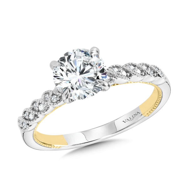 Engagement Ring Setting Reiniger Jewelers Swansea, IL