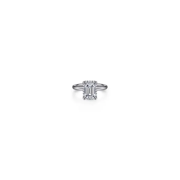Ring Reiniger Jewelers Swansea, IL