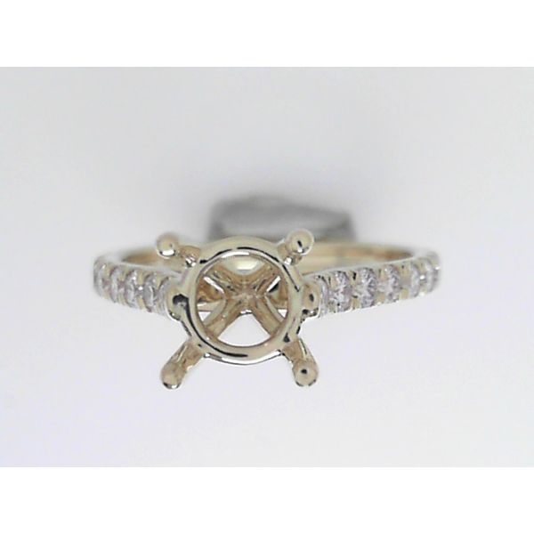 Engagement Ring Setting Reiniger Jewelers Swansea, IL