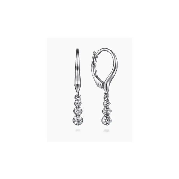 Earrings Reiniger Jewelers Swansea, IL