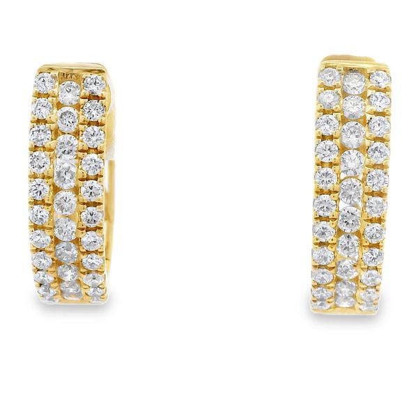 Earrings Reiniger Jewelers Swansea, IL