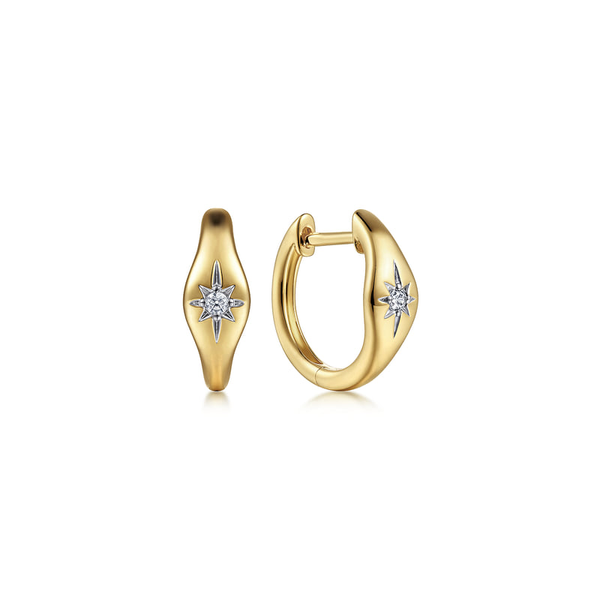 Earrings Reiniger Jewelers Swansea, IL