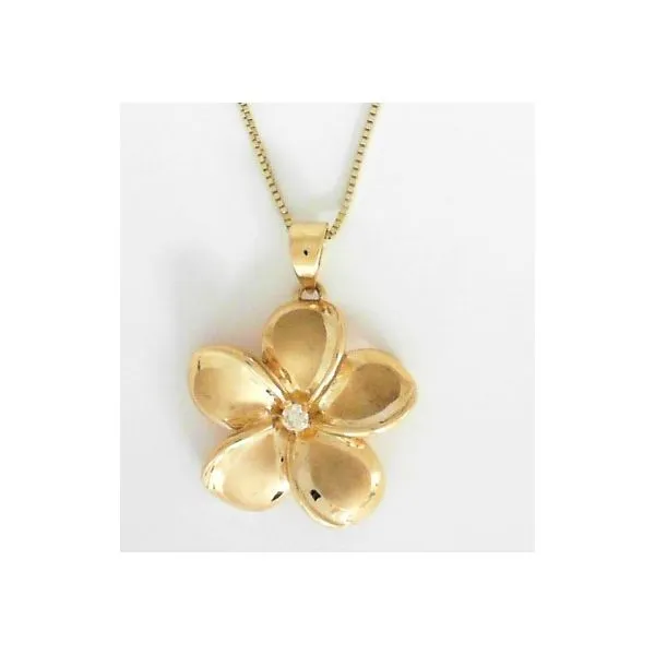 Pendant Reiniger Jewelers Swansea, IL