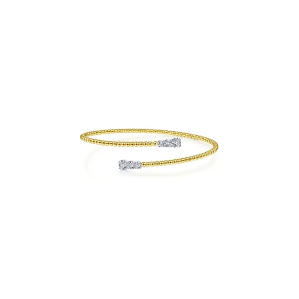 Bracelet Reiniger Jewelers Swansea, IL