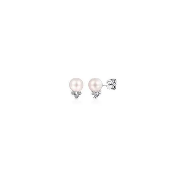 Earrings Reiniger Jewelers Swansea, IL