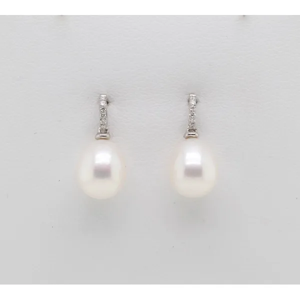 Earrings Reiniger Jewelers Swansea, IL