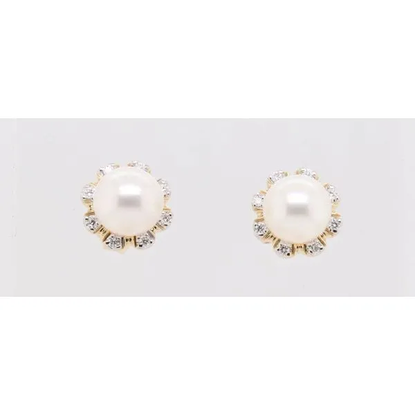 Pearl Earrings Reiniger Jewelers Swansea, IL
