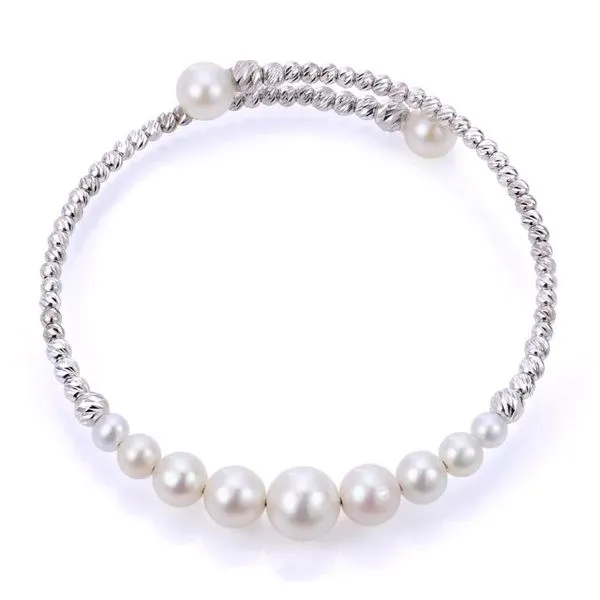 Bracelet Reiniger Jewelers Swansea, IL