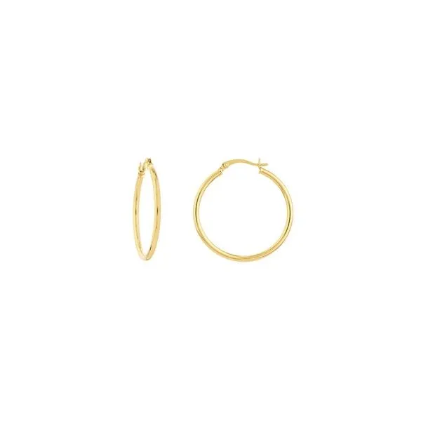 Earrings Reiniger Jewelers Swansea, IL