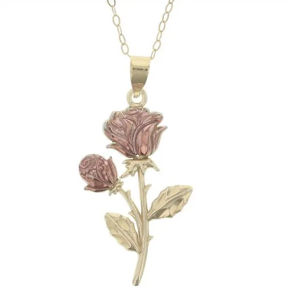 Any Silver Pendants with/without Stones Reiniger Jewelers Swansea, IL