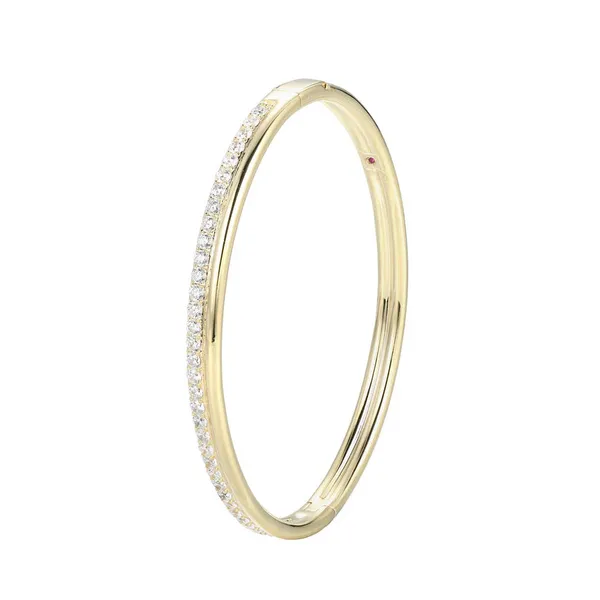 Bracelet Reiniger Jewelers Swansea, IL