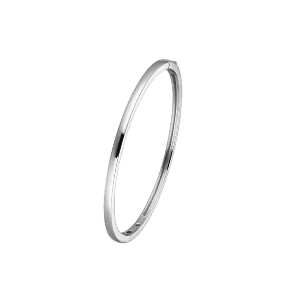Bracelet Reiniger Jewelers Swansea, IL
