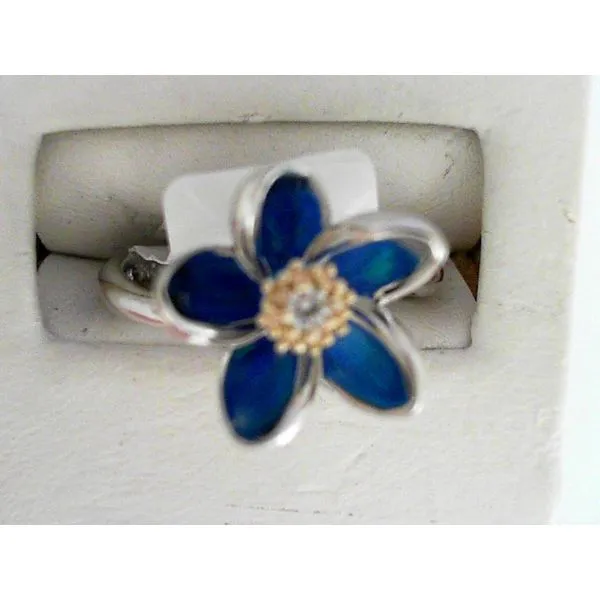 Ring Reiniger Jewelers Swansea, IL