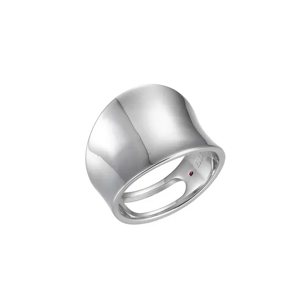 Ring Reiniger Jewelers Swansea, IL