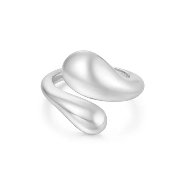 Ring Reiniger Jewelers Swansea, IL