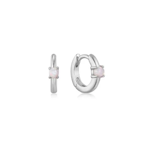 Earrings Reiniger Jewelers Swansea, IL