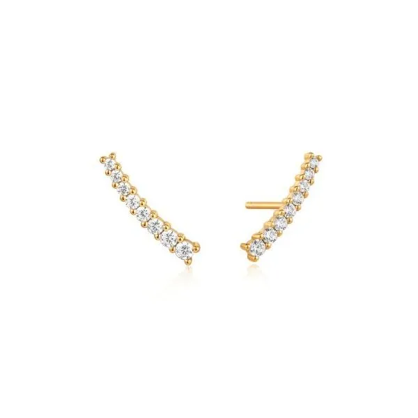 Earrings Reiniger Jewelers Swansea, IL