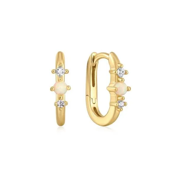Earrings Reiniger Jewelers Swansea, IL