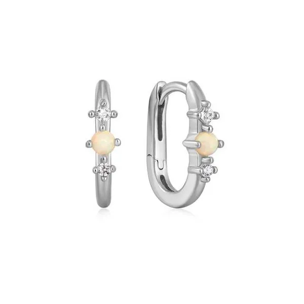 Earrings Reiniger Jewelers Swansea, IL