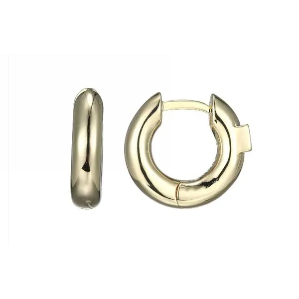 Earrings Reiniger Jewelers Swansea, IL