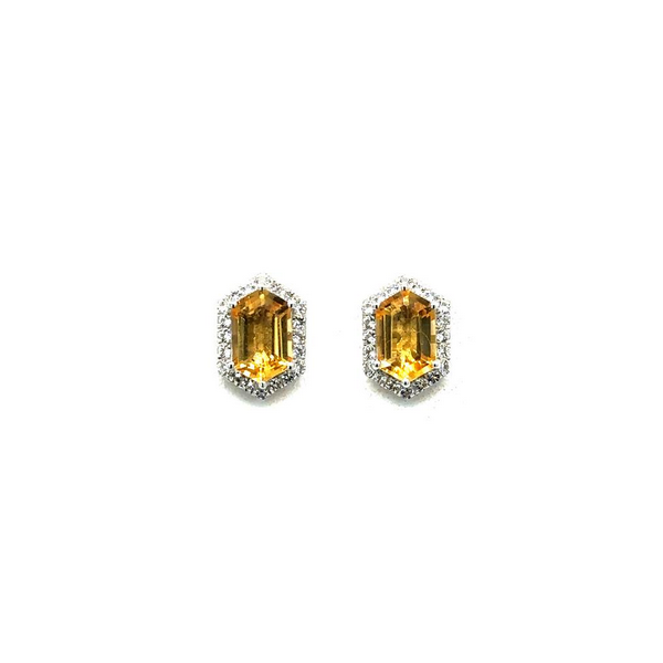 Silver Fashion Earrings Reiniger Jewelers Swansea, IL