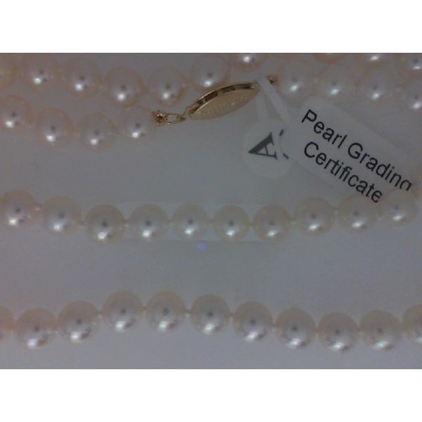 Strand Rihner's Jewelry Gretna, LA