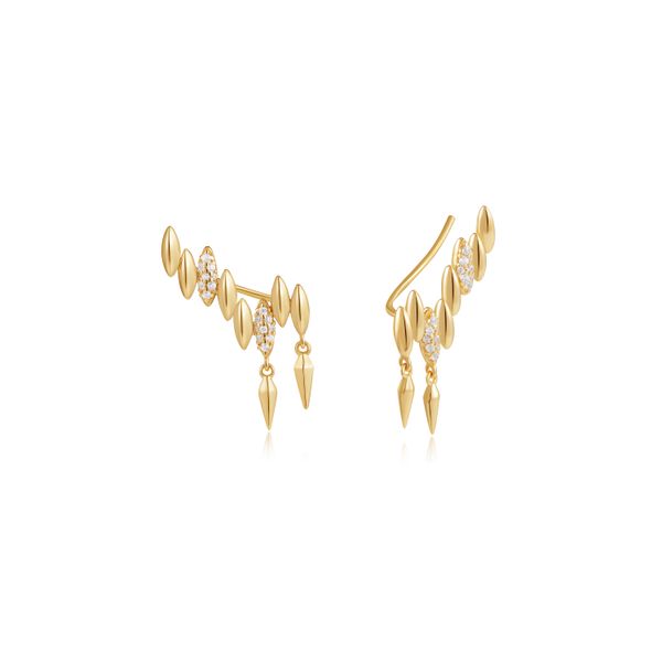 Earrings Rinehart Jewelry Co. Nevada, MO