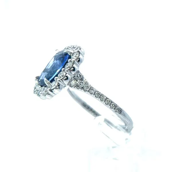 14K White Gold Diamond and Sapphire Ring  Image 2 Roberts Jewelers Jackson, TN