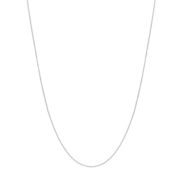 14K White Gold Box Chain Roberts Jewelers Jackson, TN