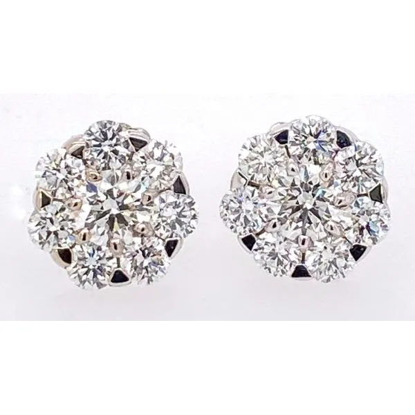 Diamond Fancy Earrings Robertson Jewelers New Milford, CT