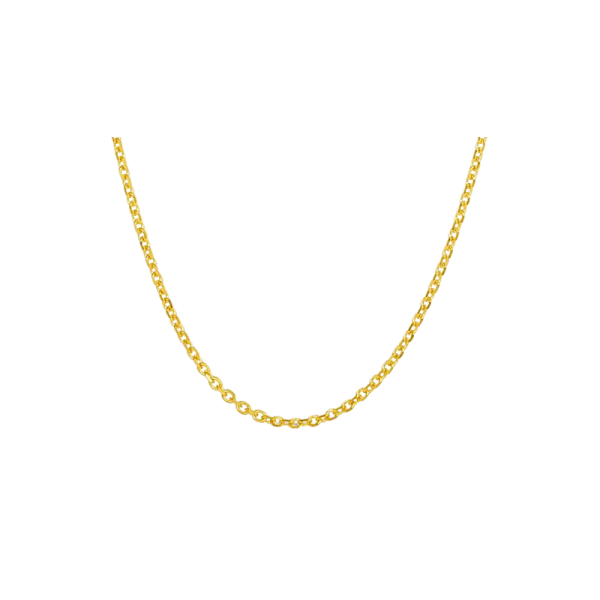 Gold Chain Robertson Jewelers New Milford, CT