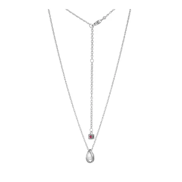 Silver Necklace Robertson Jewelers New Milford, CT