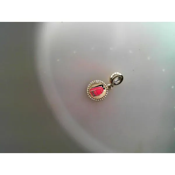 Pandora Charms + Beads Robertson Jewelers New Milford, CT
