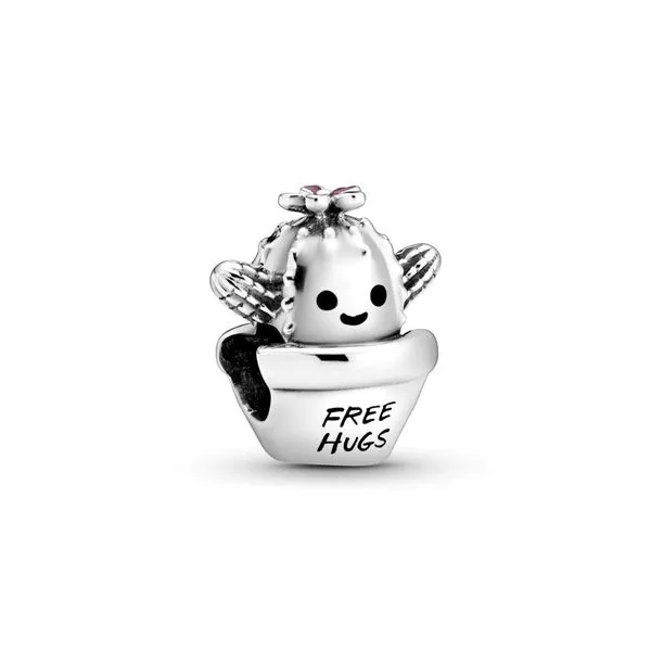 Pandora Charms + Beads Robertson Jewelers New Milford, CT