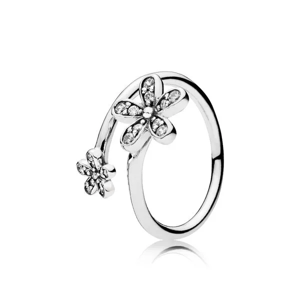 Pandora Rings Robertson Jewelers New Milford, CT