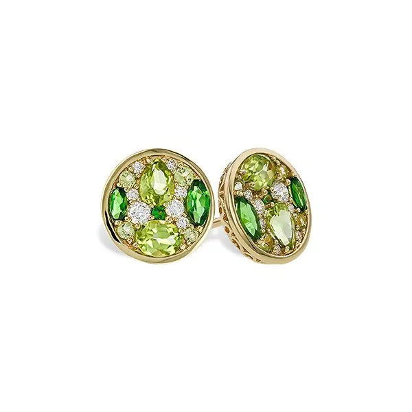 Earrings Robichau's Jewelry, LLC The Woodlands, TX