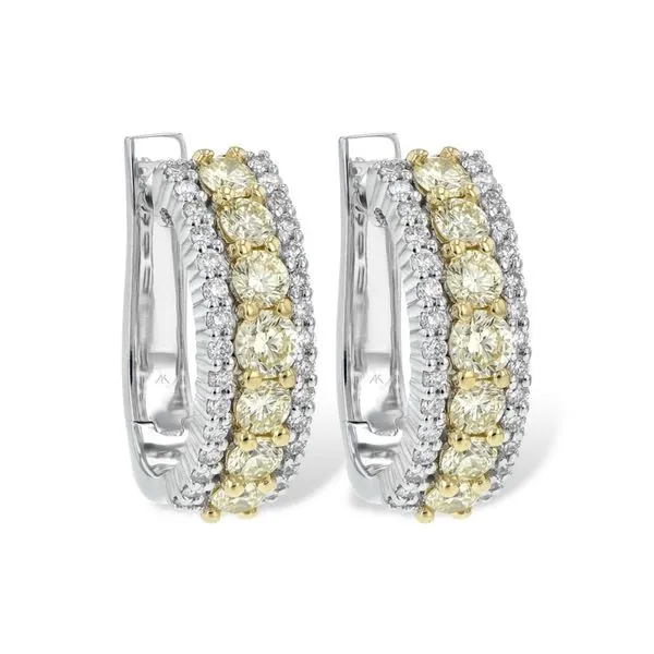 Earrings Robison Jewelry Co. Fernandina Beach, FL