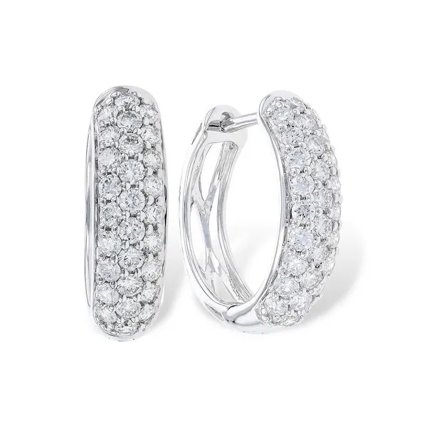 Earrings Robison Jewelry Co. Fernandina Beach, FL