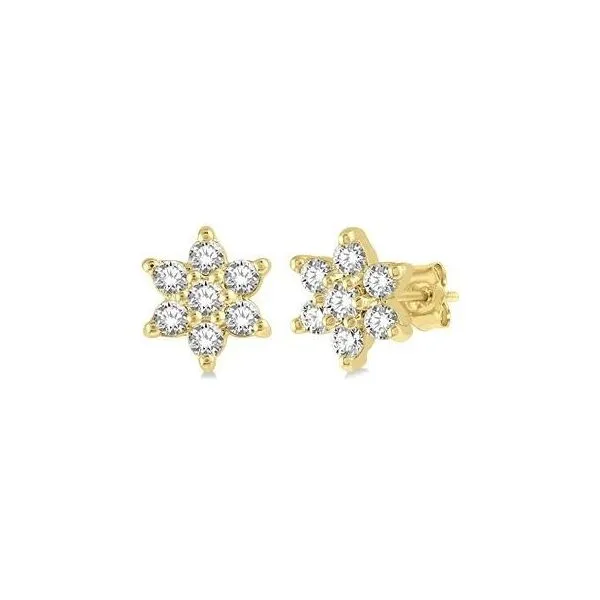 Earrings Robison Jewelry Co. Fernandina Beach, FL